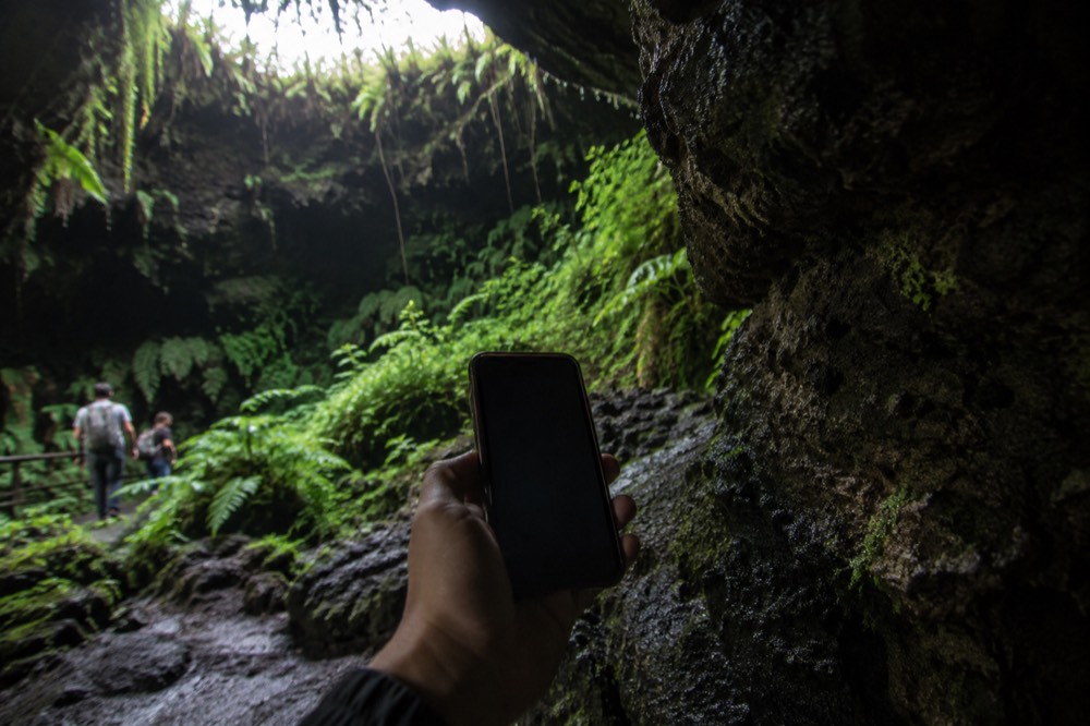 A phone held up inside a mossy lava tunnel mouth in the Santa Cruz highlands, Galapagos, Ecuador, screen dark, ferns and wet volcanic stone close around