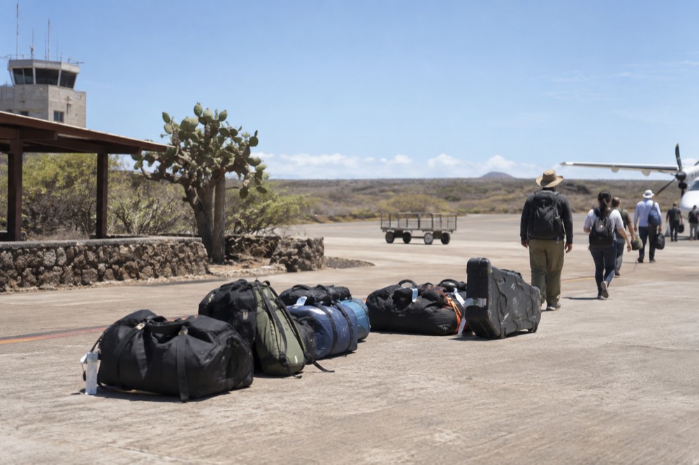 High-season July morning in the Galapagos Islands