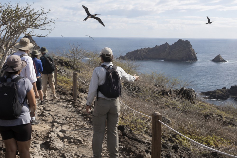 A naturalist guide from behind holding a small group to the defined trail edge at Cerro Tijeretas in Ecuador's Galapagos, frigatebirds overhead