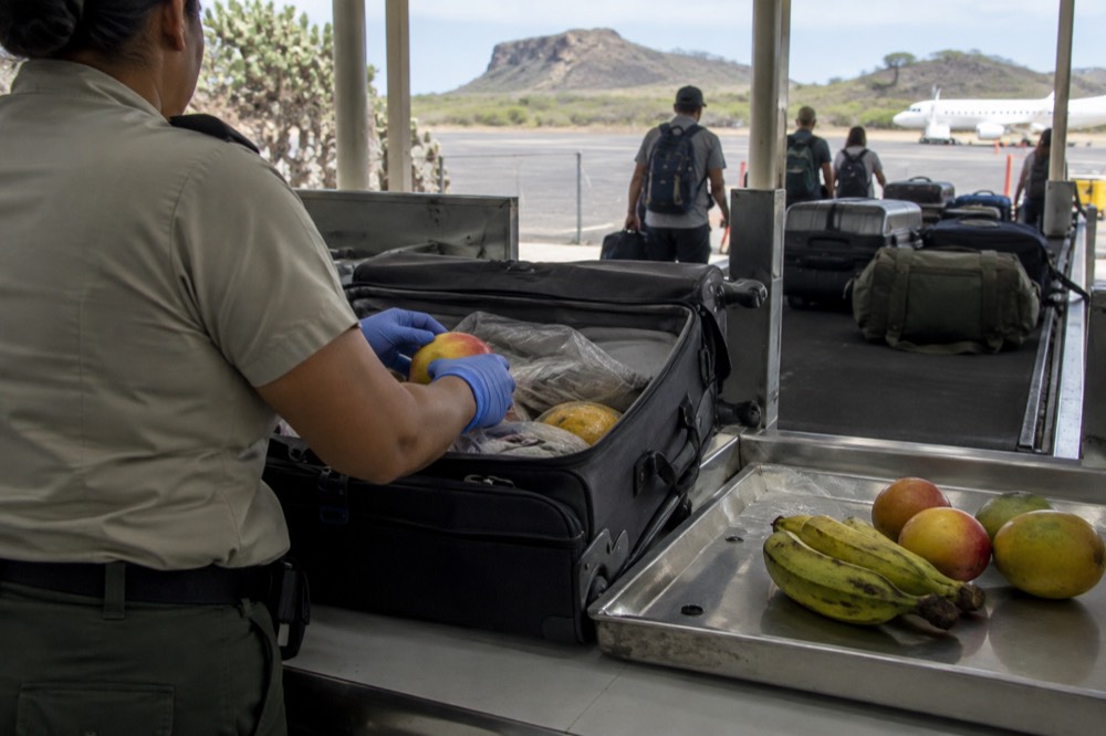 The biosecurity inspection bench at Seymour Airport, Galapagos Islands, Ecuador, an open suitcase under flat fluorescent light