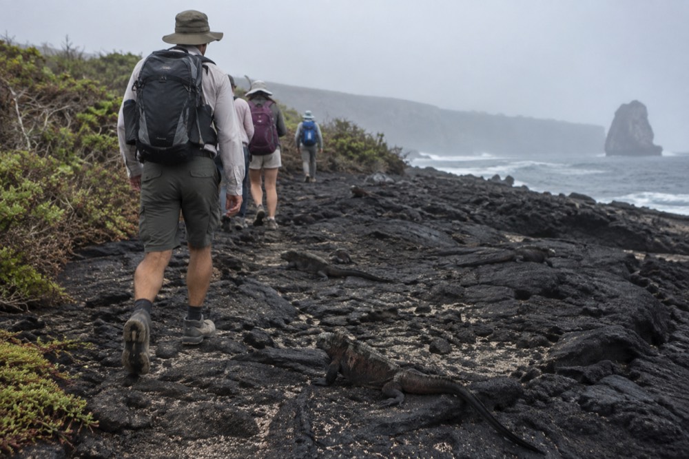 A licensed naturalist leads a small party along the lava trail at Punta Suarez, Espanola Island, Ecuador, from behind
