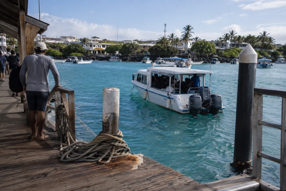 Mid-morning on the wooden pier at Puerto Ayora, Galapagos Islands, Ecuador
