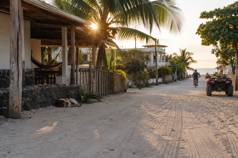 Soft late afternoon on a sand street in Puerto Villamil, Isabela, Galapagos, Ecuador; pale crushed-coral road close up, rutted with tyre tracks