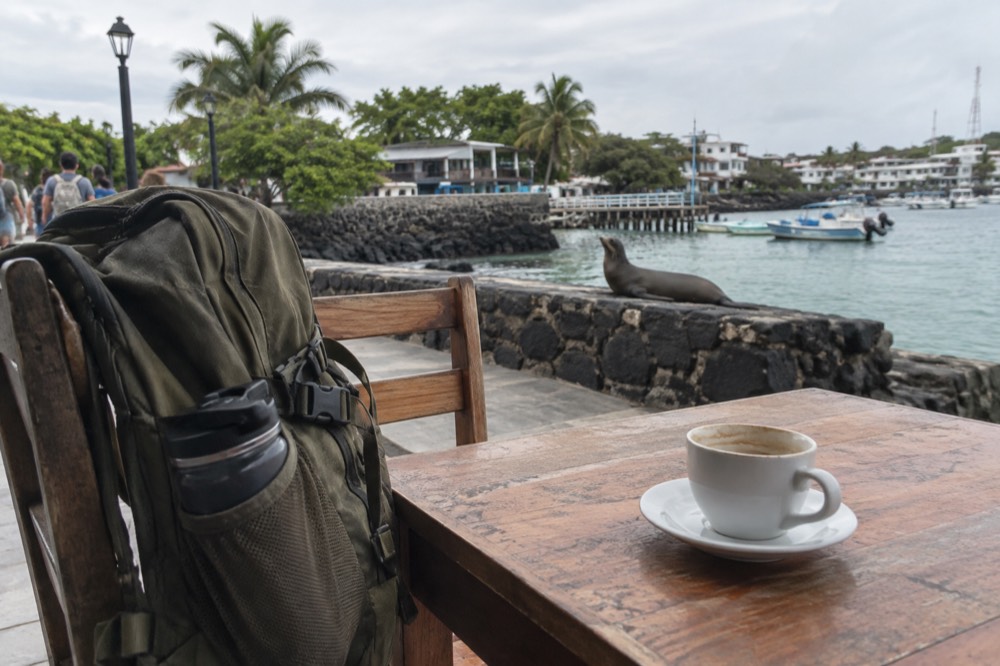 A land-based traveler's scuffed daypack and half-drunk coffee on a wooden waterfront table in Puerto Ayora, Galapagos Islands, Ecuador