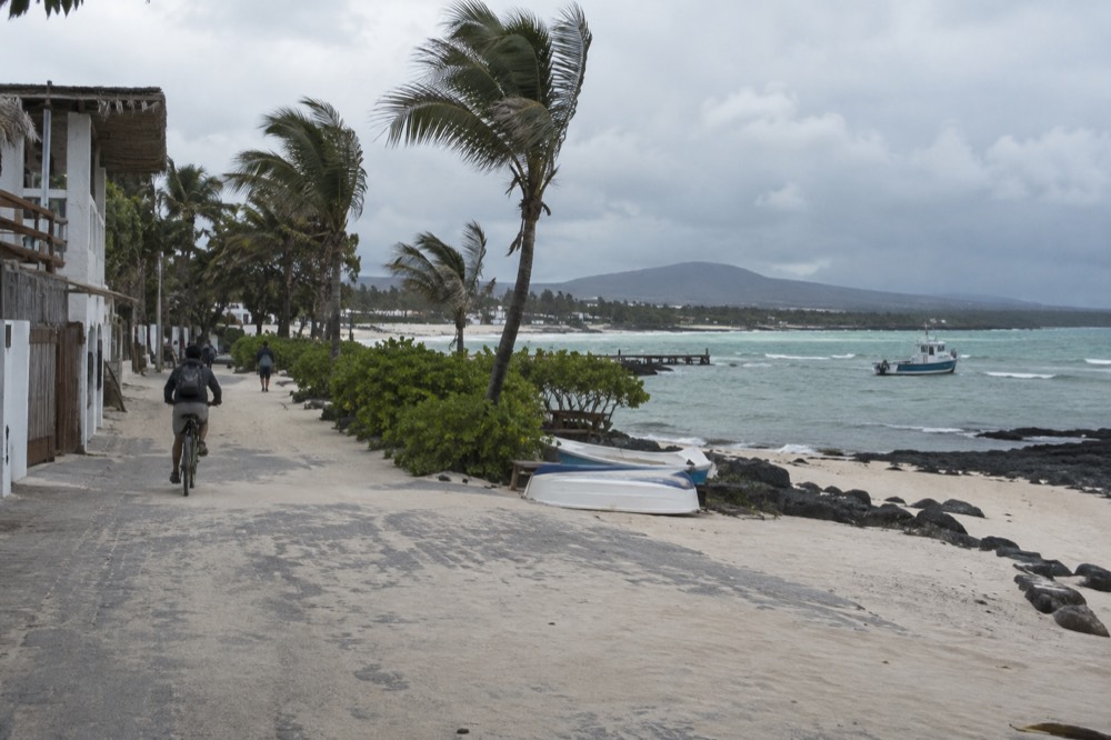 Wind-whipped palms and white-sand beach front at Puerto Villamil, Galapagos Islands, Ecuador, a cool-season morning with grey chop and dragging clouds