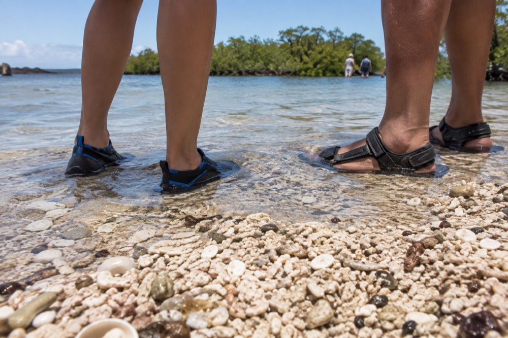 A pair of water shoes and scuffed reef sandals stand in shin-deep clear water at the wet landing on Las Bachas Beach, Santa Cruz, Galapagos Islands