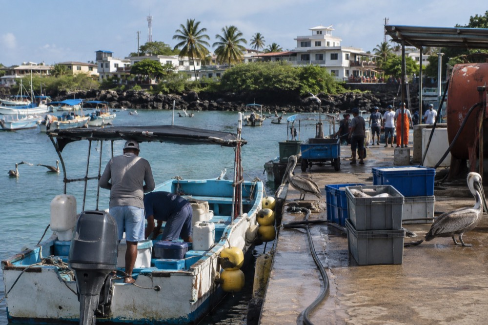 Morning bustle on Puerto Ayora's working harbour, Galapagos Islands, Ecuador, seen across the dock: fuel hoses, crates, a day boat loading close to camera
