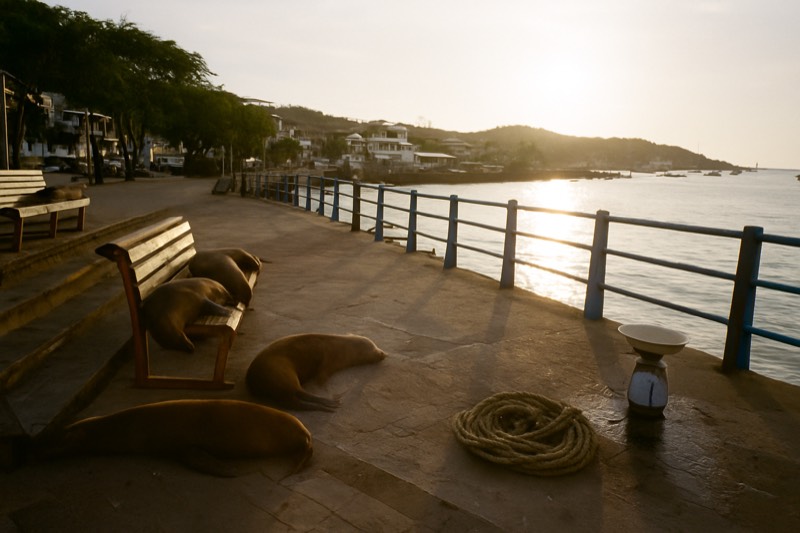6-Day Hopping, San Cristobal Start