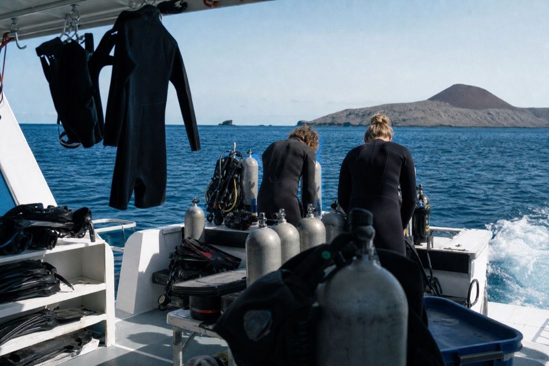 Gordon Rocks Daily Dive