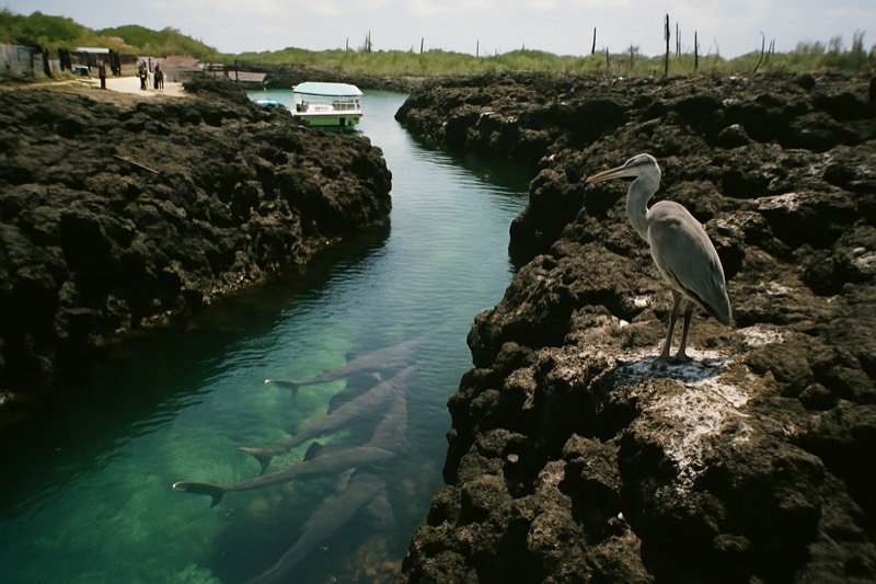 6-Day 3-Island Hopping Adventure