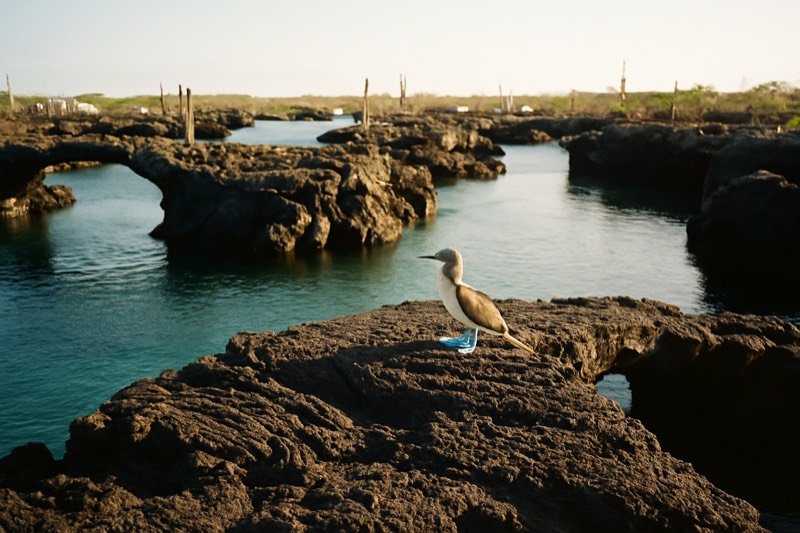 Los Túneles Day Tour, Free Cancellation
