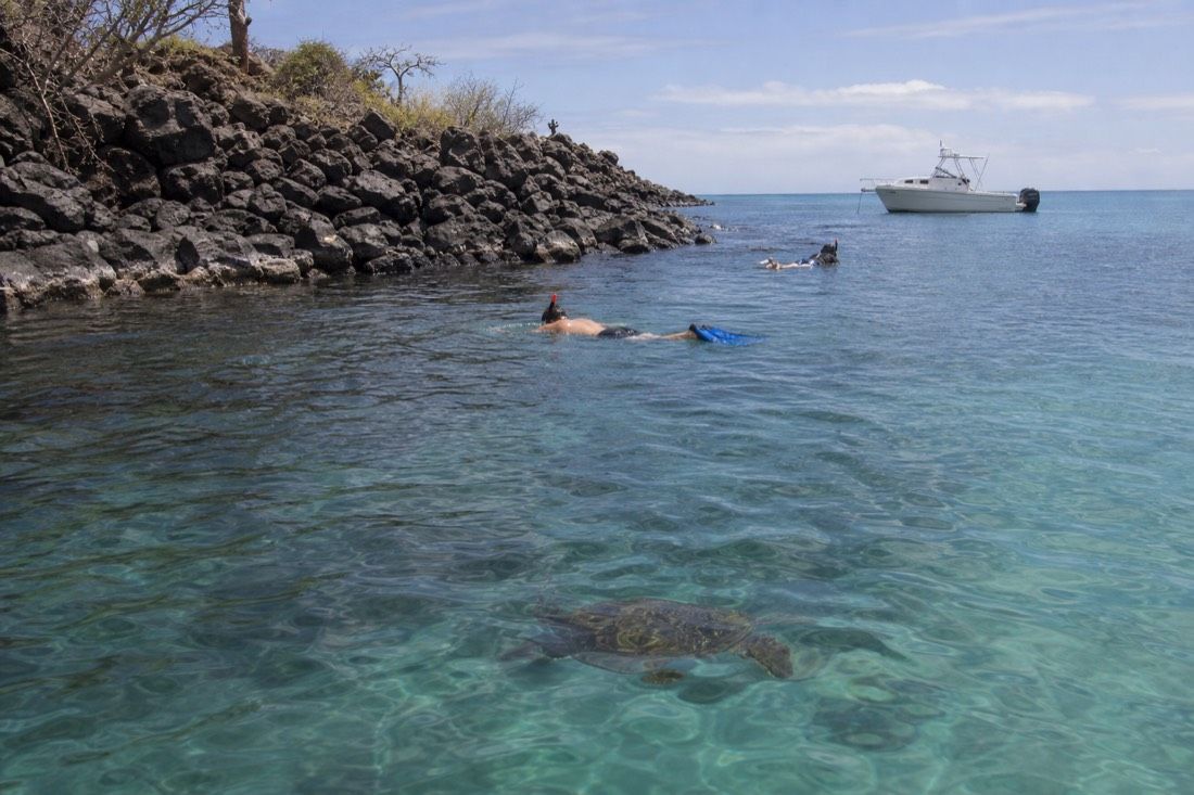 7-Hour Pinzón, Snorkel And Fishing