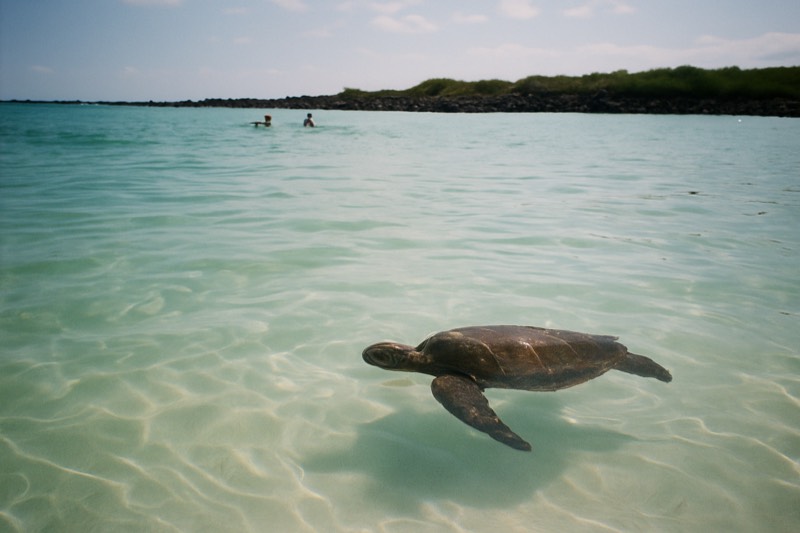 Bay Snorkeling Plus Walk