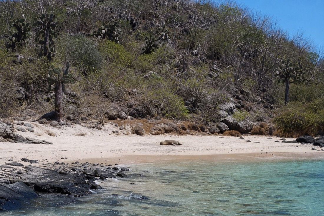 Santa Fe Snorkeling And Fishing